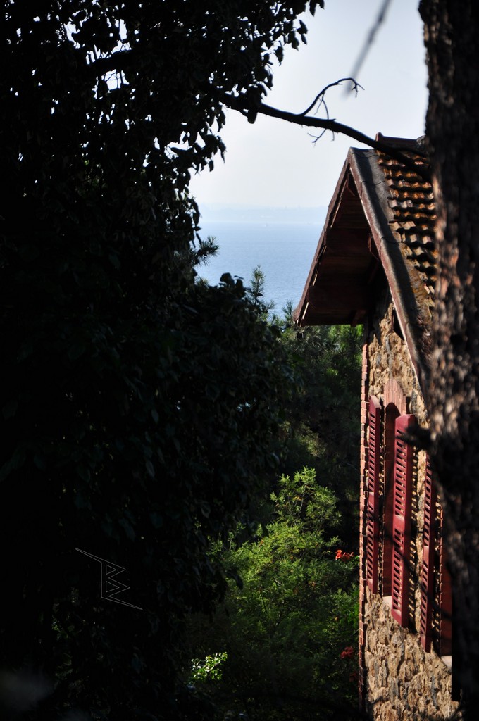 An old house with a sea view on Heybeliada framed by trees and red shutters.