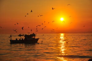 A sunset fishing boat photo from Istanbul showing a dark fishing boat on orange water, gulls in the sky and the sun reflecting across the sea.