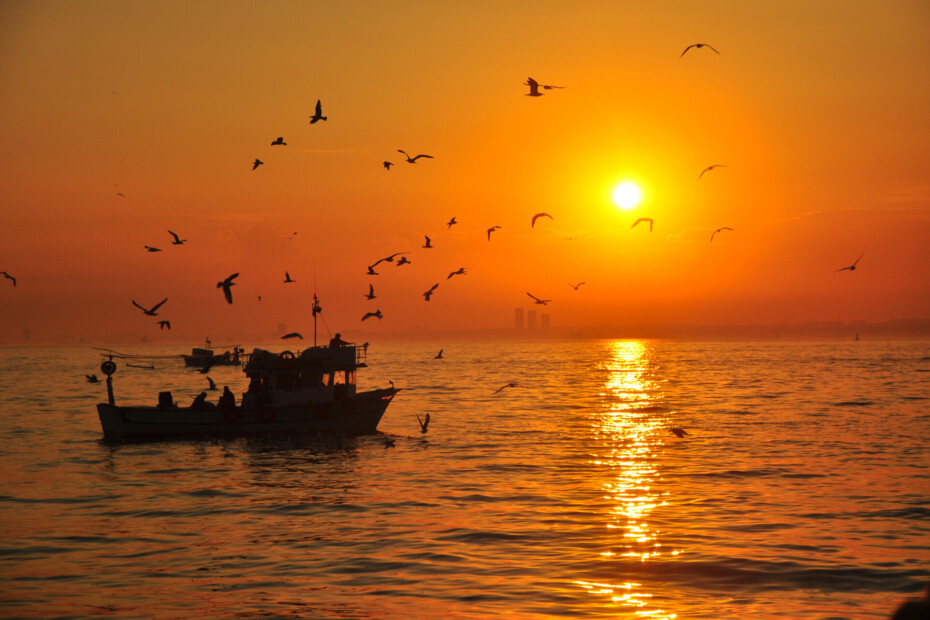 A sunset fishing boat photo from Istanbul showing a dark fishing boat on orange water, gulls in the sky and the sun reflecting across the sea.
